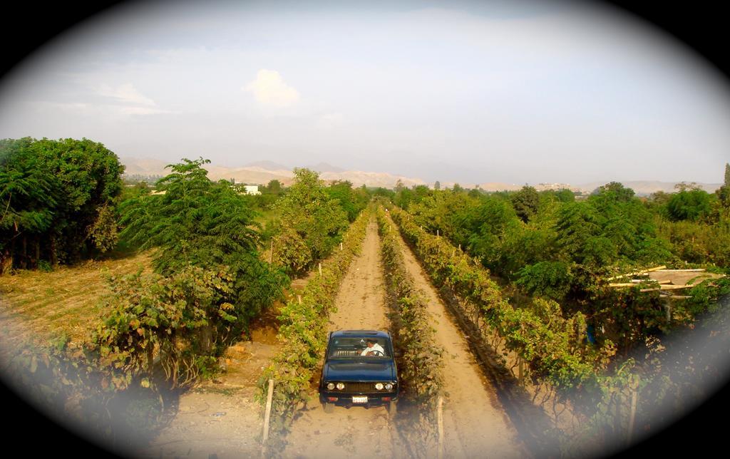 Nuevo Imperial La Vina De Oscar 게스트하우스 외부 사진